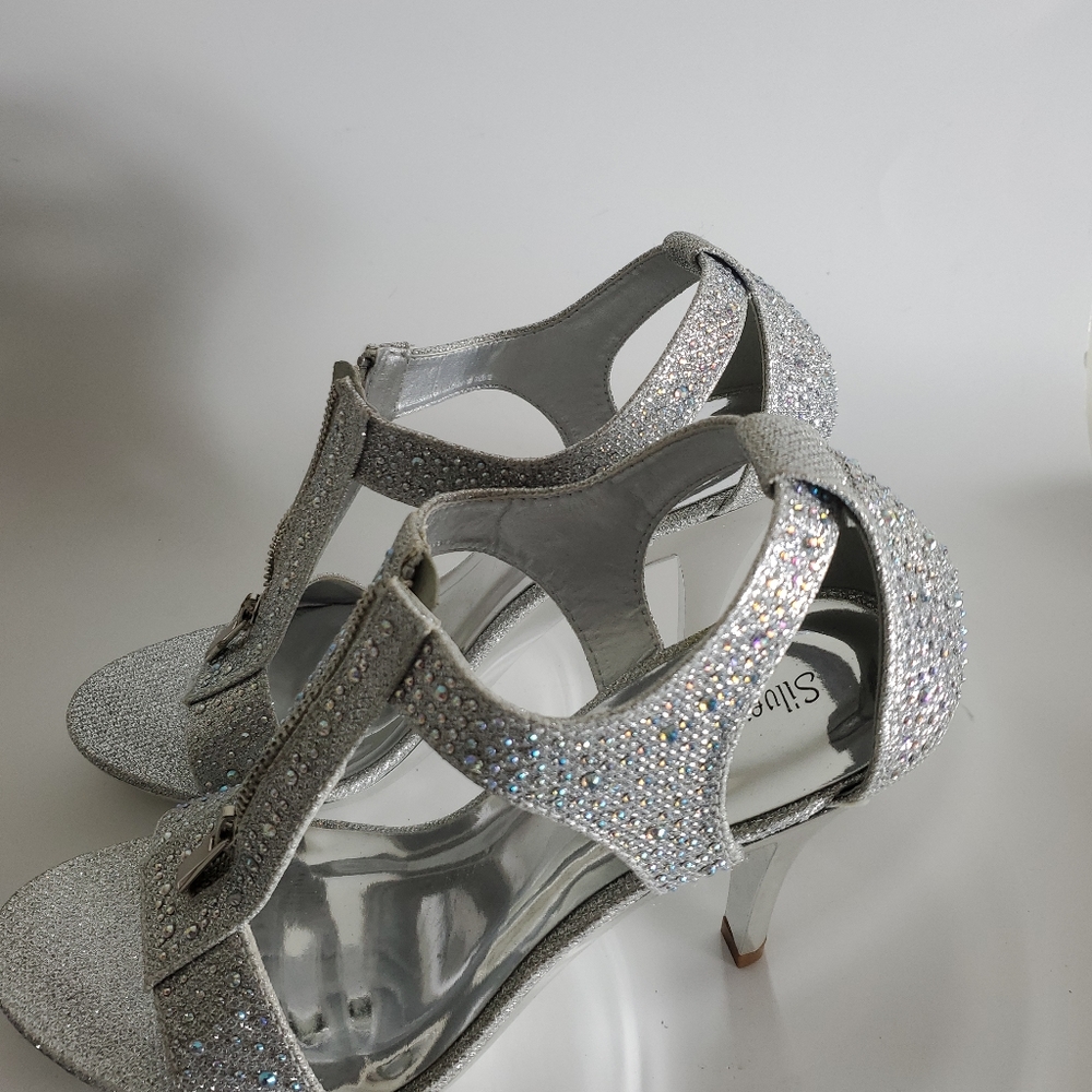 Silver Slipper